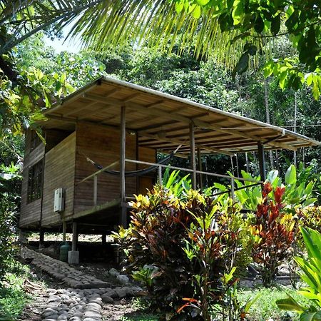Huella Verde Rainforest Lodge Canelos Екстер'єр фото