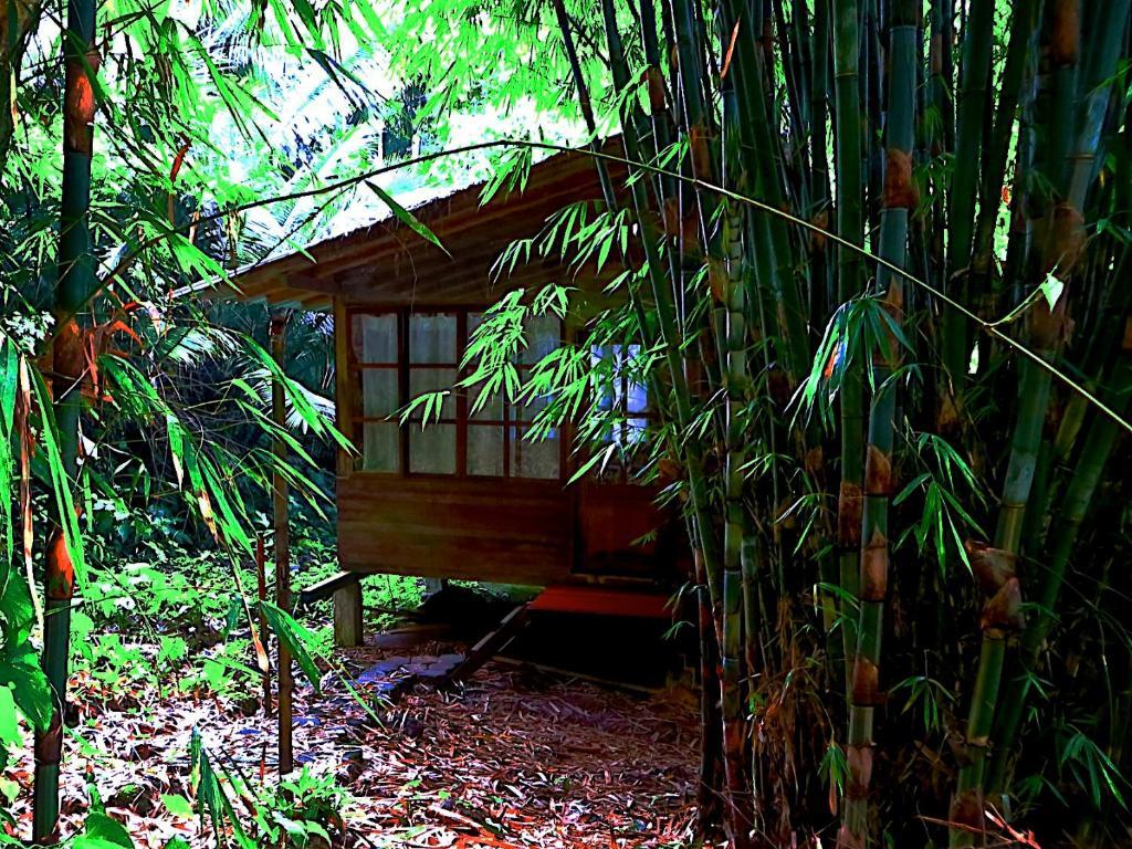 Huella Verde Rainforest Lodge Canelos Номер фото