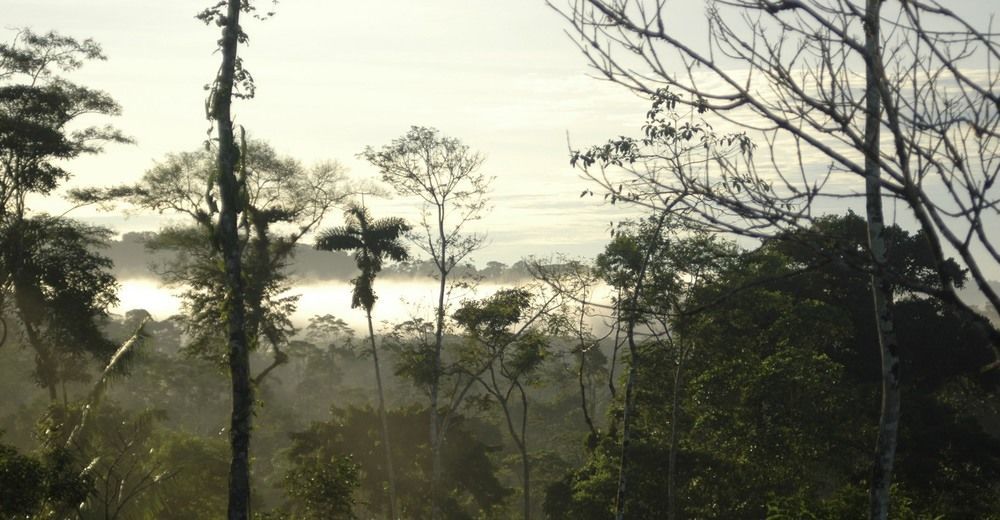 Huella Verde Rainforest Lodge Canelos Екстер'єр фото